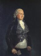 Francisco Goya Don pedro,duque de osuna oil on canvas